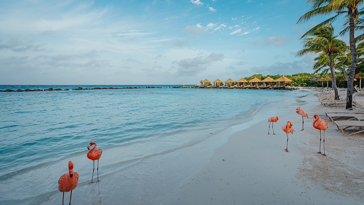 Aruba Has New Testing Rules for Travelers