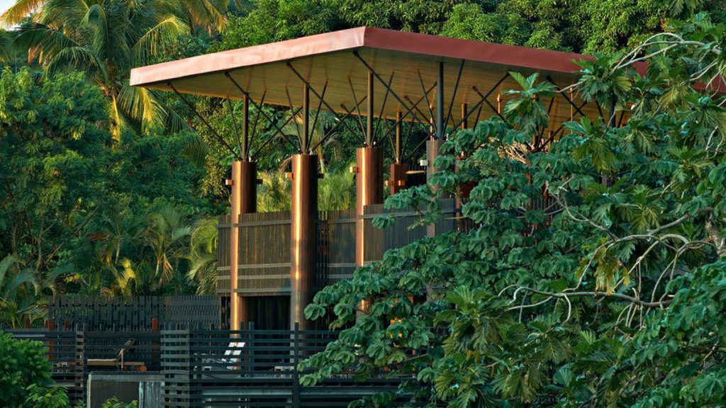 rabot saint lucia rainforest