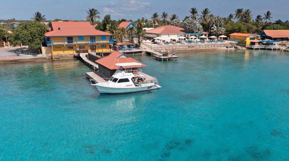 Rum Journal Is This The Best Rum From Puerto Rico?