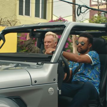 sting shaggy