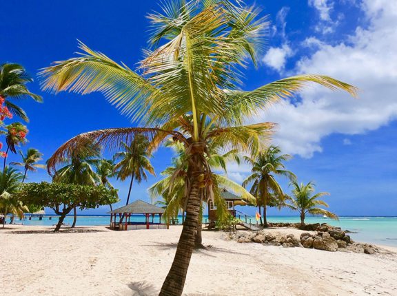 tobago caribbean