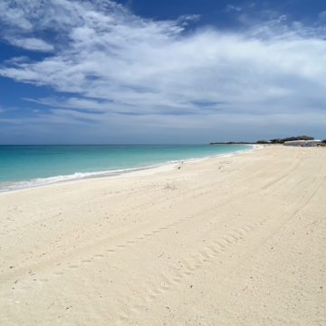 beach resorts world bahamas bimini