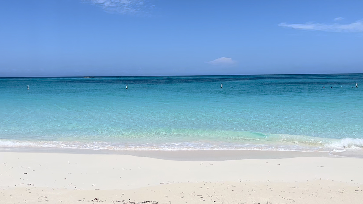 bahamas bimini paradise beach caribbean
