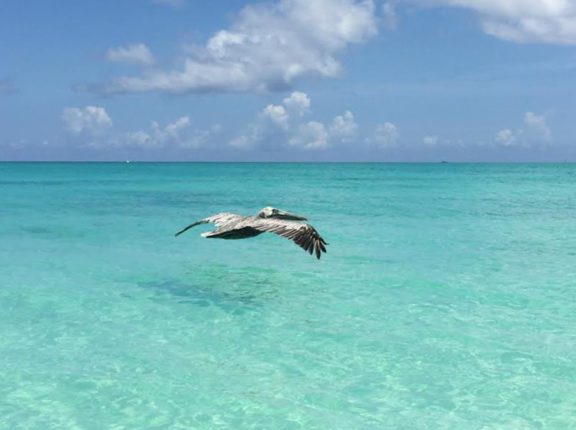 turks and caicos caribbean photo