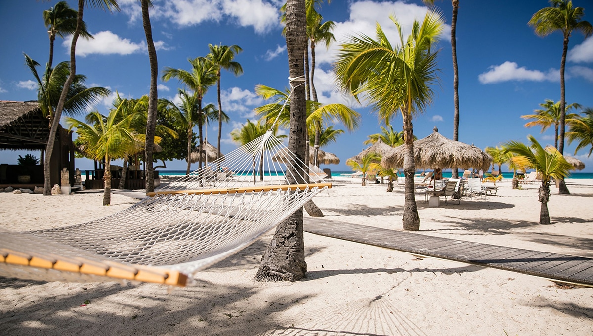 CHTA Launches Caribbean Hotel Auction to Support Jamaica Hurricane Relief