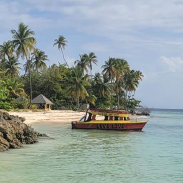 tobago caribbean photo pigeon