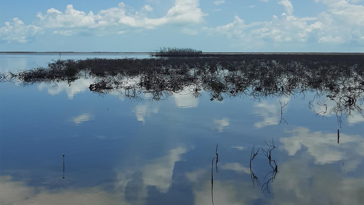 Caribbean Photo of the Week: Water Cay, Grand Bahama