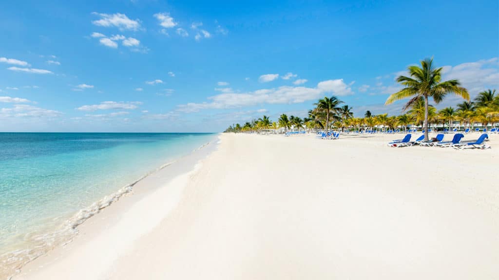 on the beach on the island of grand bahama