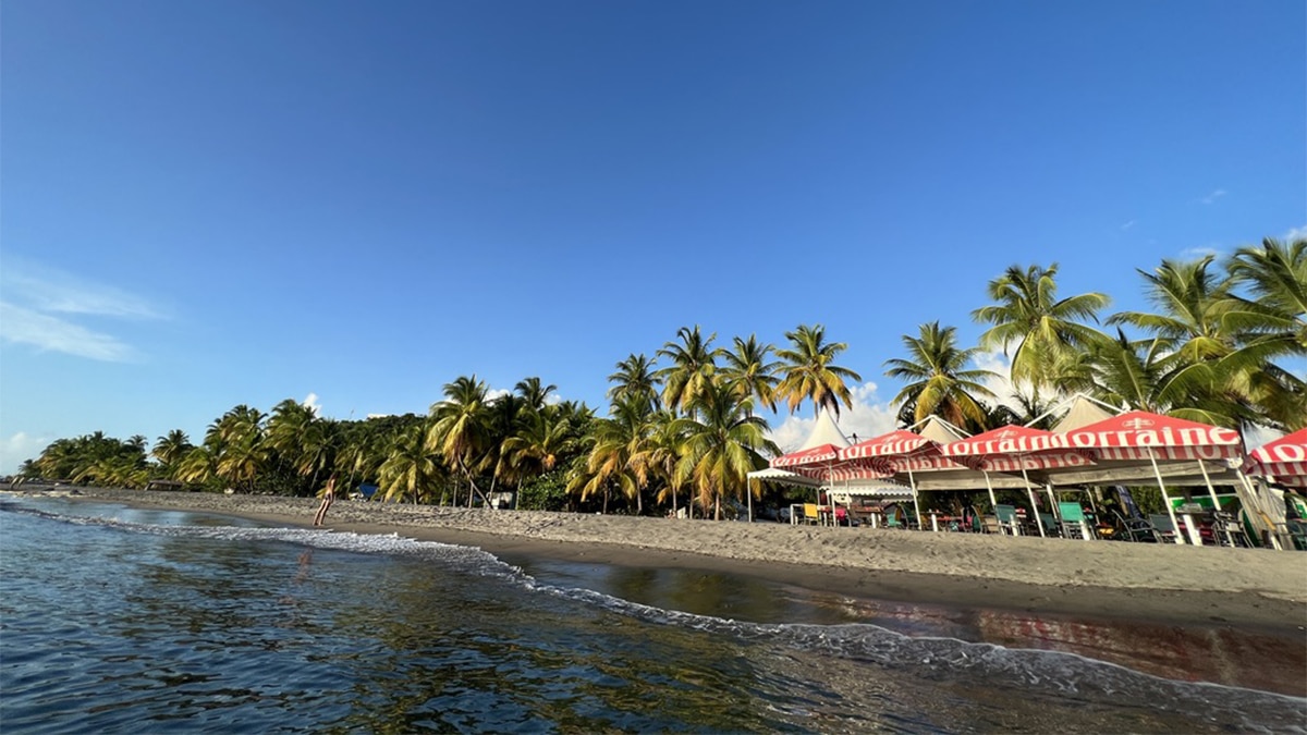 martinique caribbean beach bar