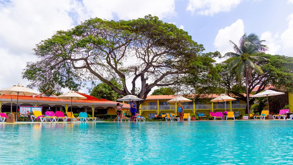 saint lucia starfish