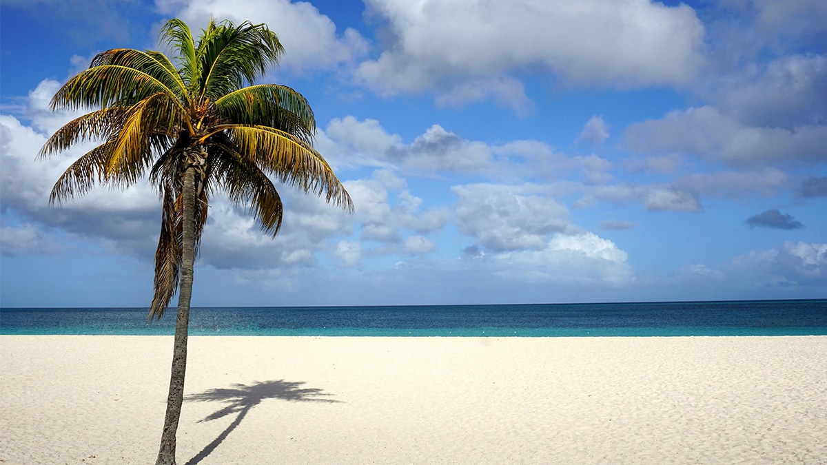 Caribbean Photo of the Week Perfection on Eagle Beach, Aruba