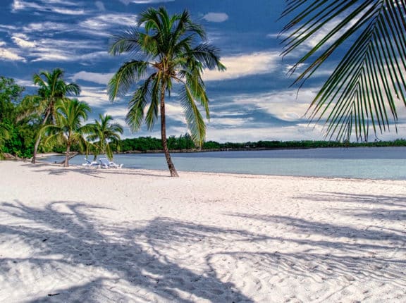 green turtle cay