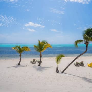 cayman islands tourism eclipses