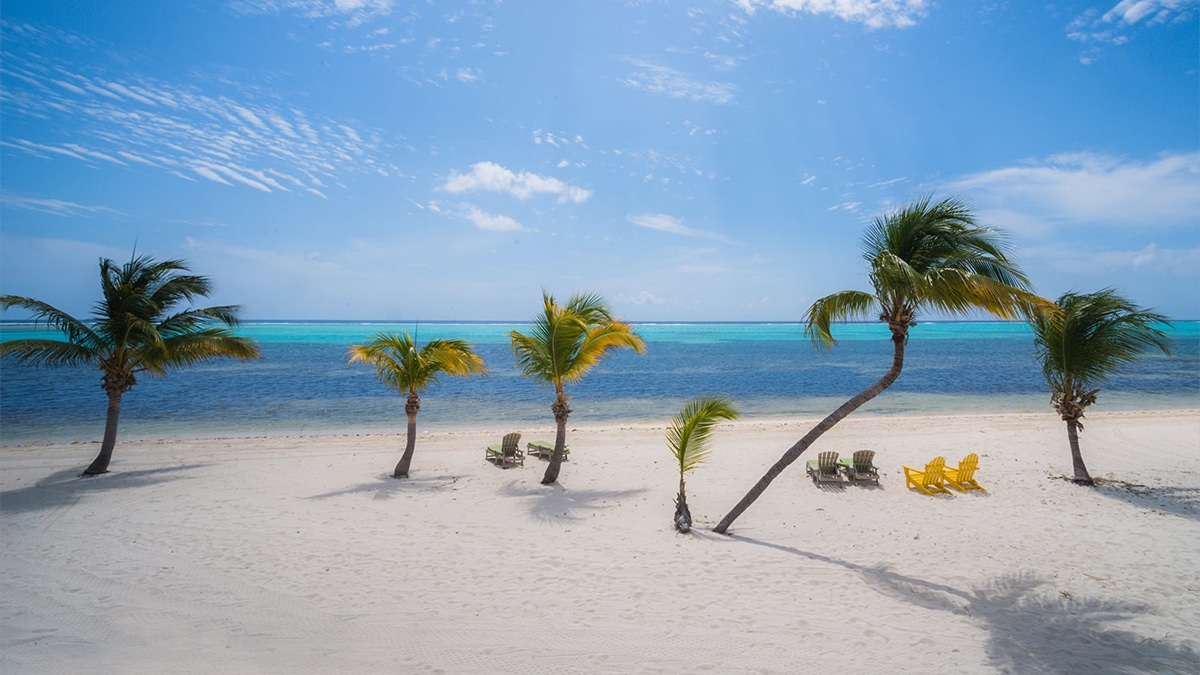 cayman islands tourism eclipses