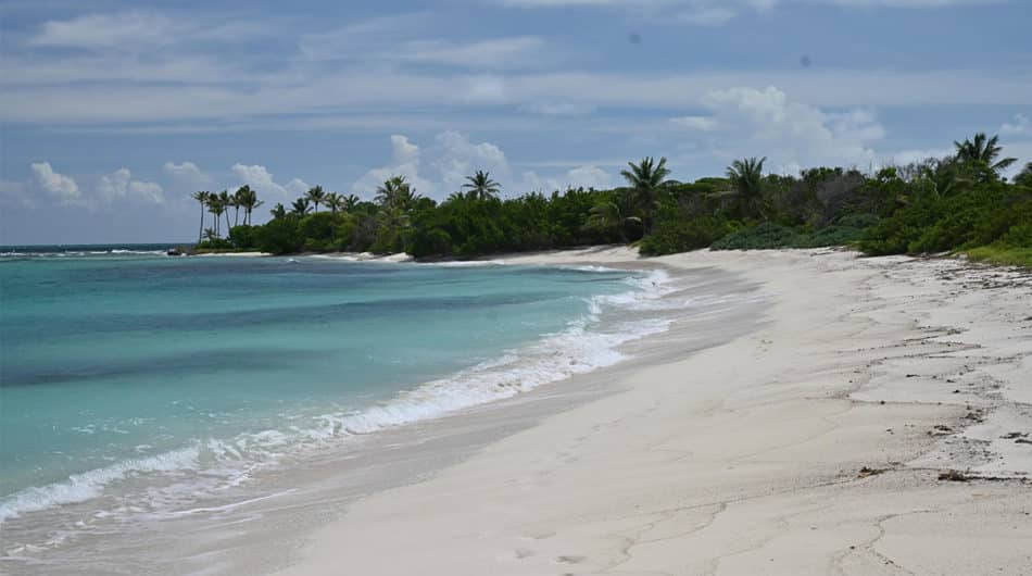 grenadines caribbean photo petit tabac