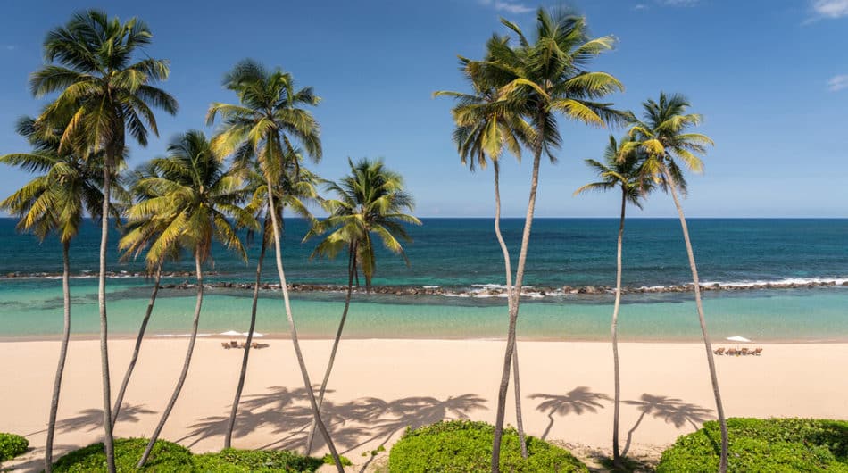 The 20 Best Hotels in Puerto Rico