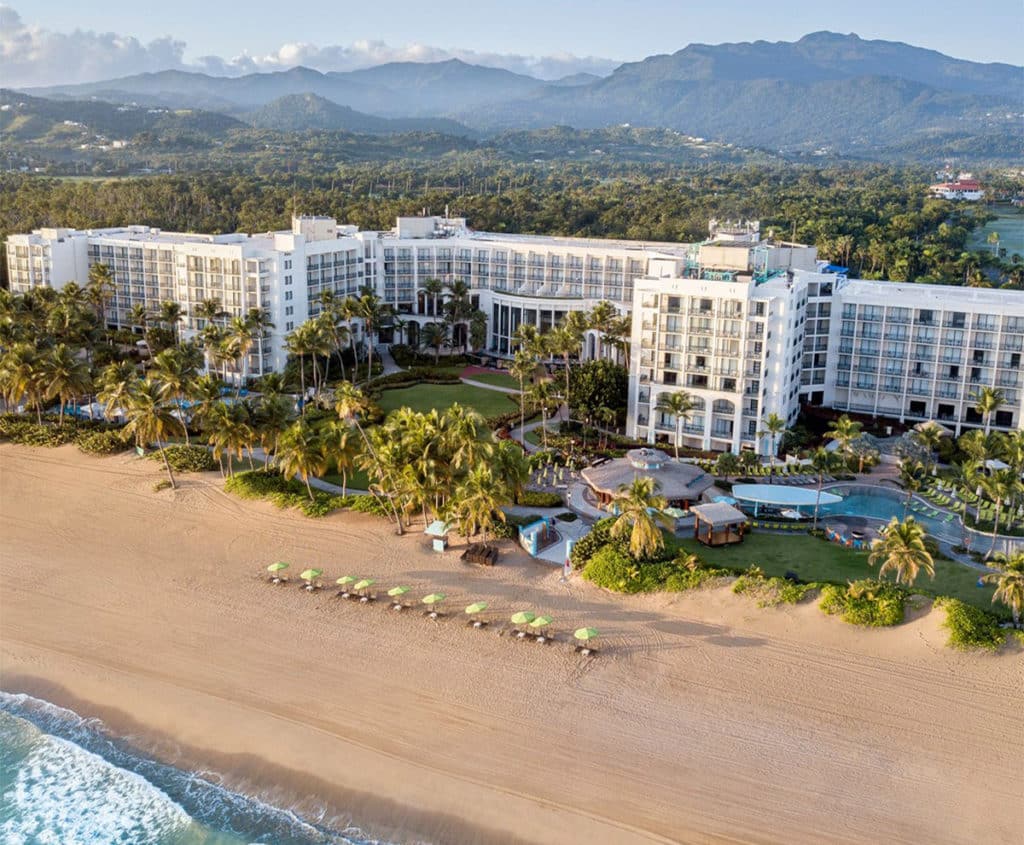 Puerto Rico Hotels the rainforest and the beach at the wyndham.