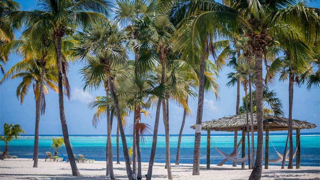 cayman islands tourism sizzling