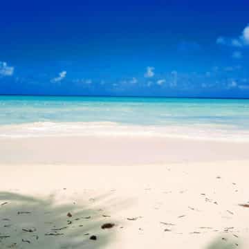 beach at the buccaneer in antigua