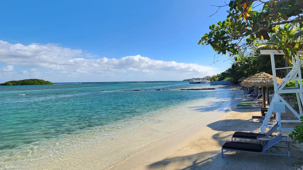Vol Montego Bay Jamaïque