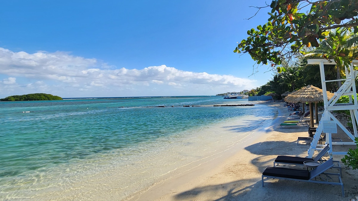 Montego Bay Jamaica Flights
