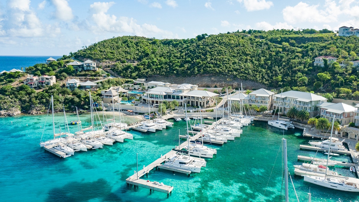 bvi scrub