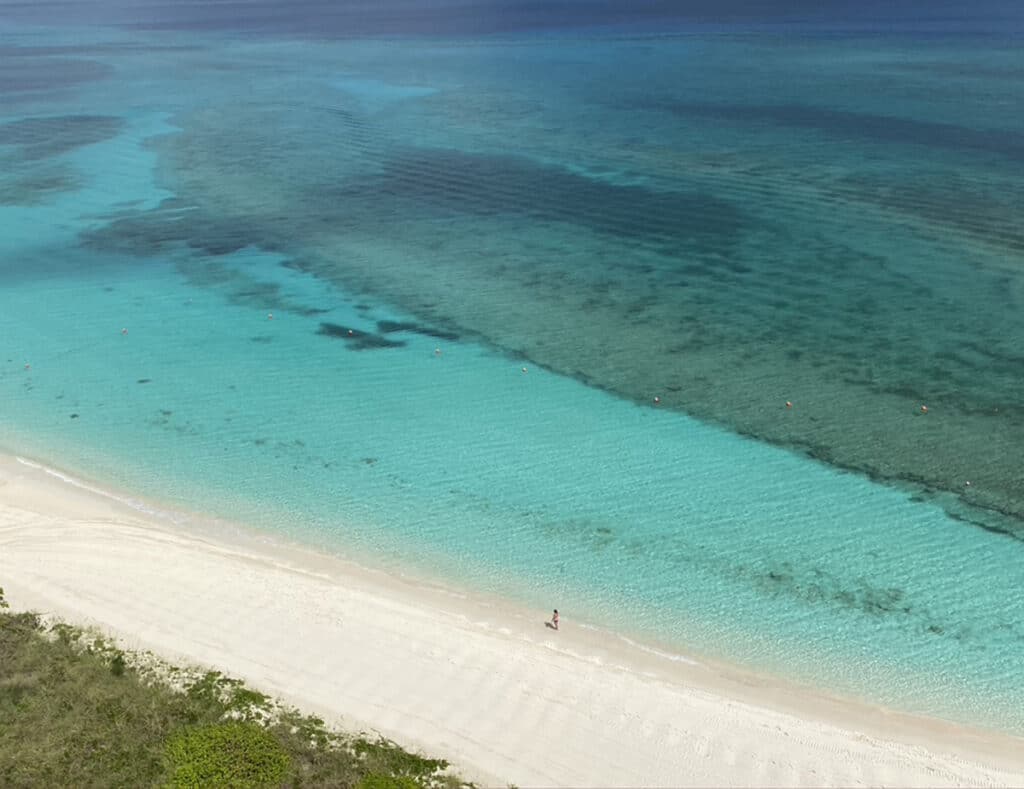 a beach on paradise island in the bahamas.
