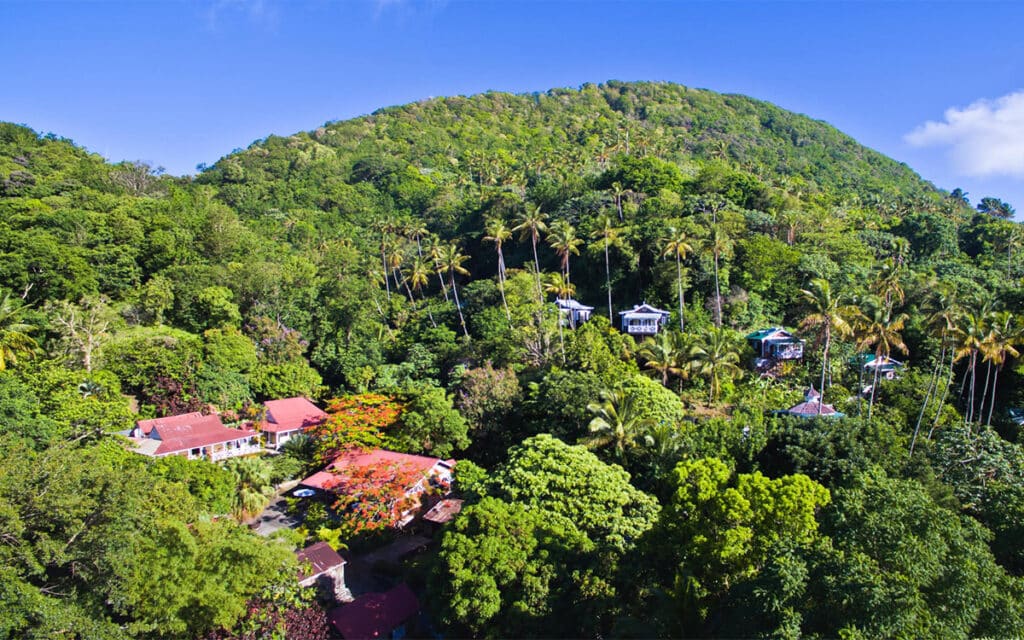 Saint Lucia Caribbean Hotel Eco
