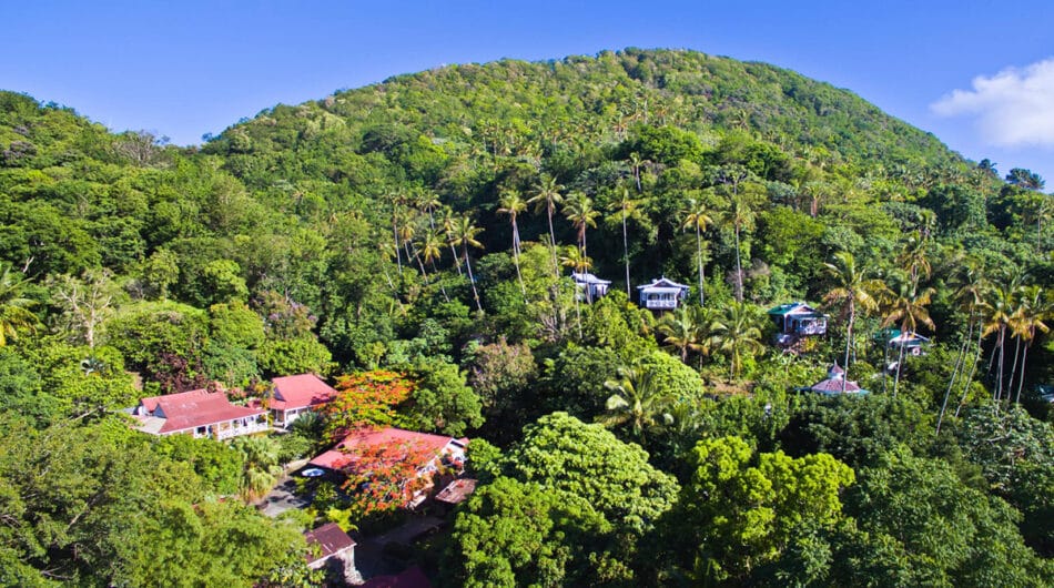 Saint Lucia Caribbean Hotel Eco