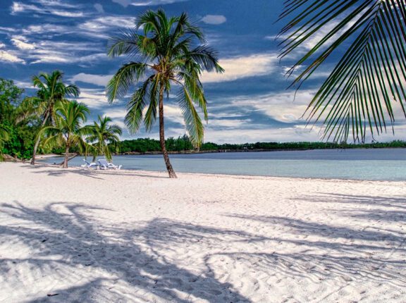 the beach on white sound