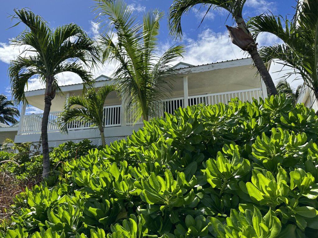 suites de style cottage