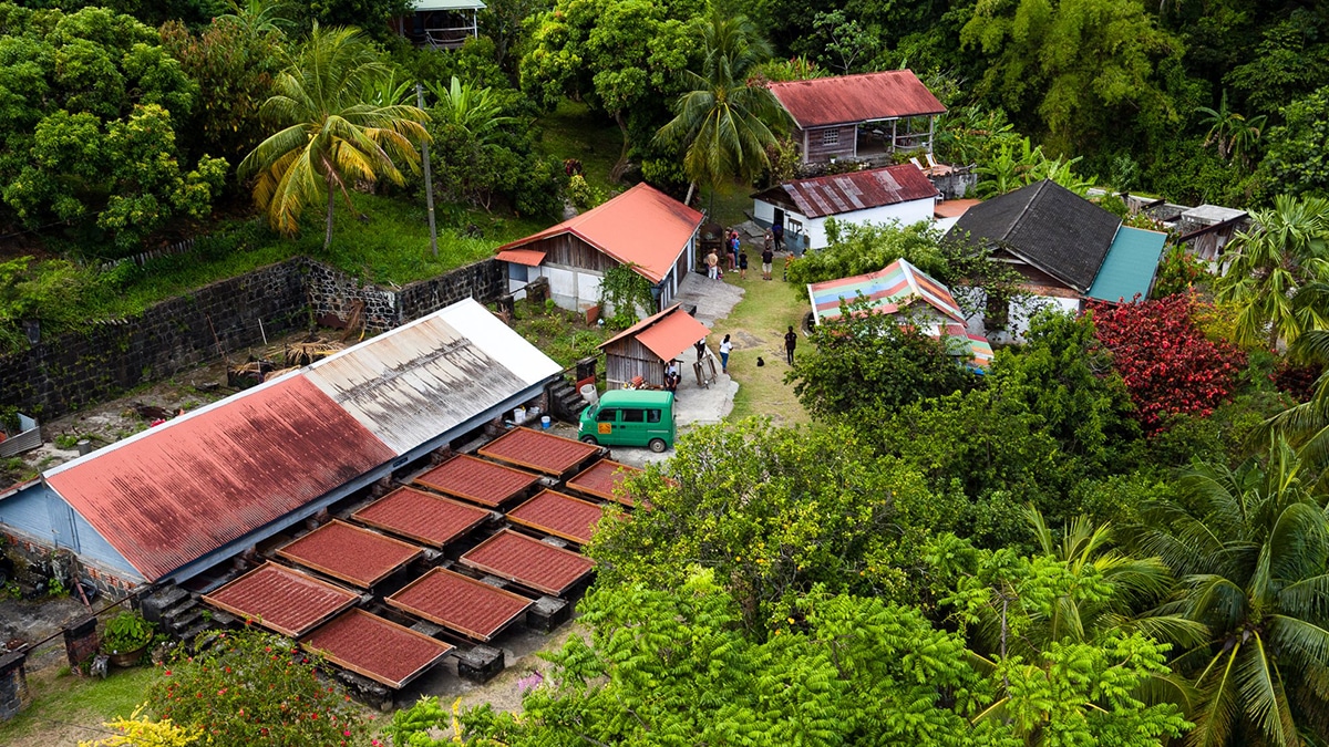 grenada chocolate