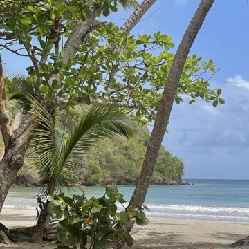 grenada caribbean photo