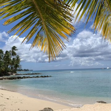 barbados united airlines flights