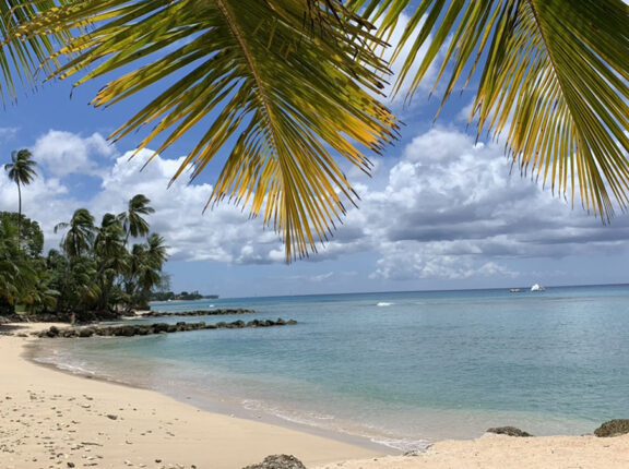 barbados united airlines flights