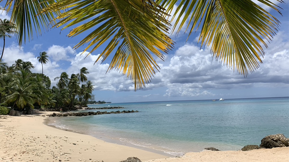 United Airlines Adds YearRound Flights to Meet “Huge” Barbados Demand