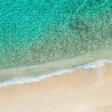 harbour village beach club bonaire