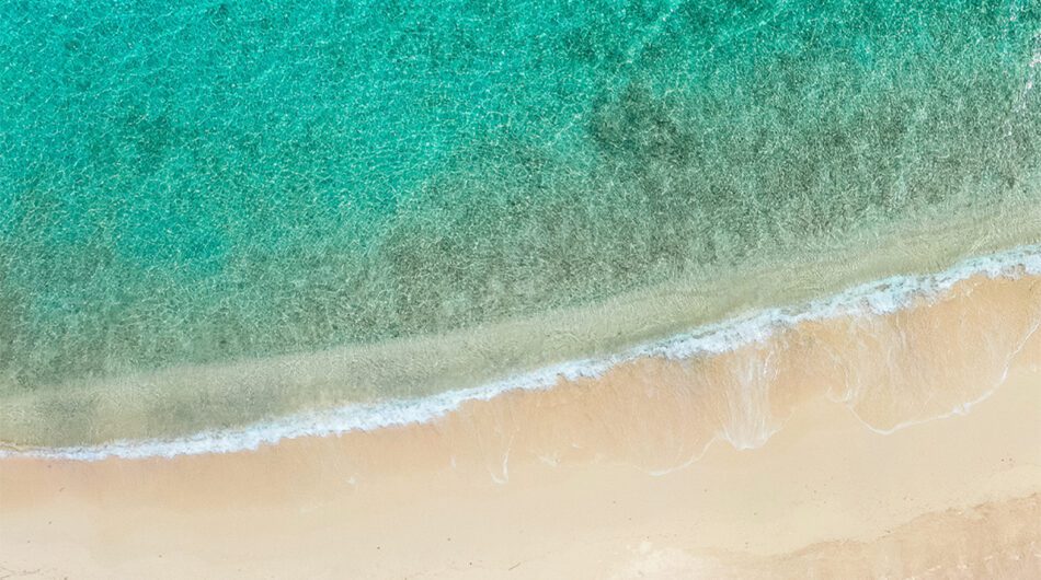 harbour village beach club bonaire