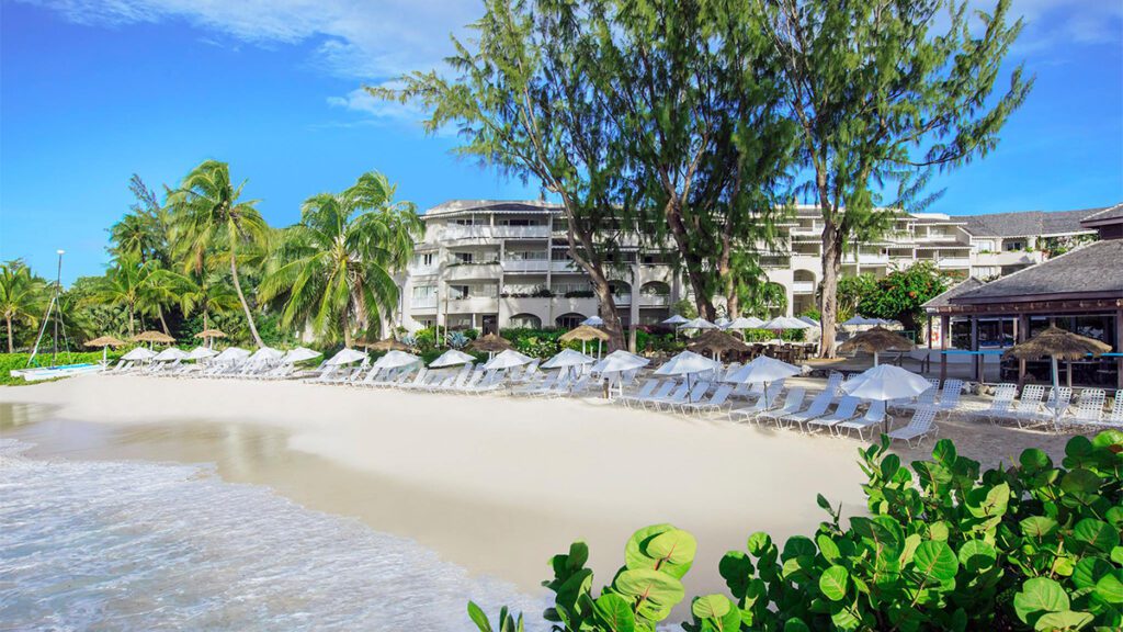 barbados bougainville on the beach