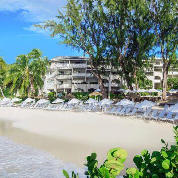 barbados bougainville on the beach