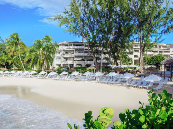 barbados bougainville on the beach