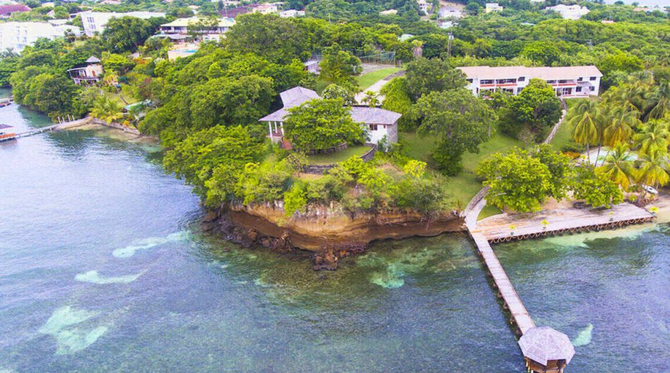 Grenada's Kirani James Wins Another Heat, Readies for 400M Final