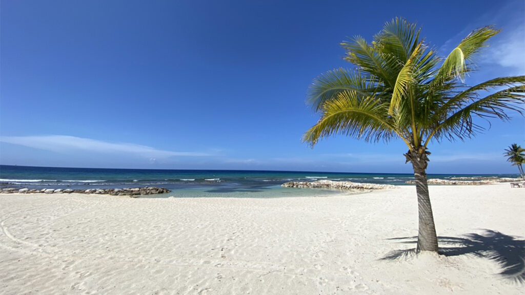 the beach at a resort in montego bay