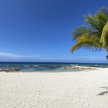 the beach at a resort in montego bay