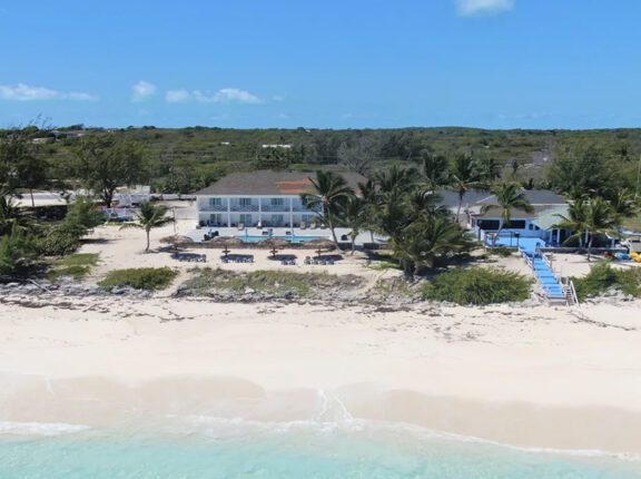 exuma palms on the beach