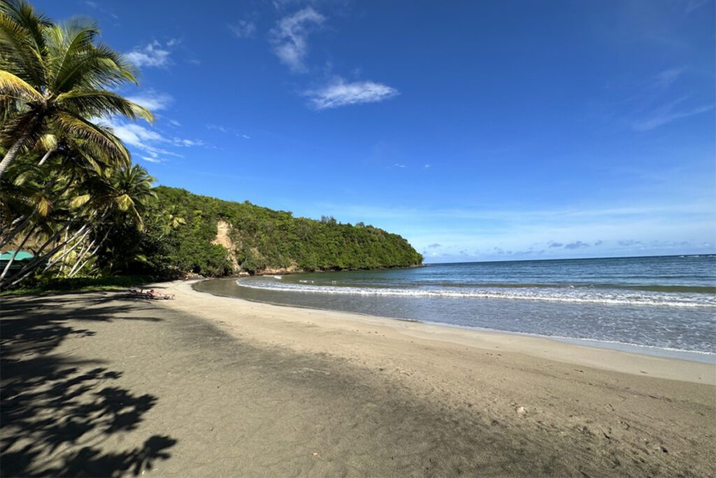 grenada caribbean beaches