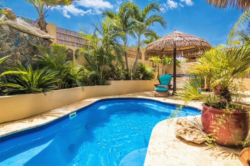 the pool under a thatched-roof umbrella