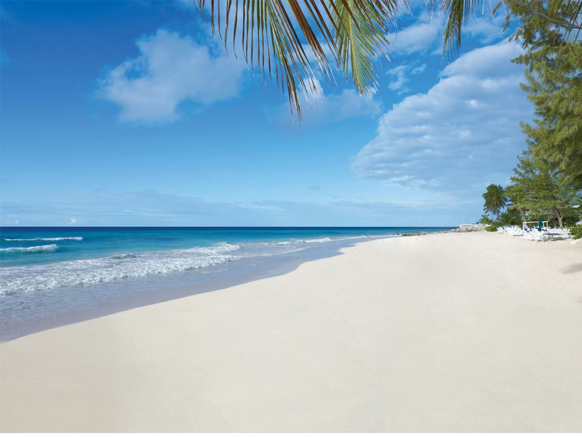 American Airlines Adding More Barbados Flights for Holidays