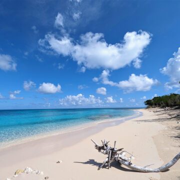 buck island on the beach