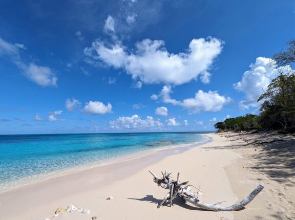 buck island on the beach